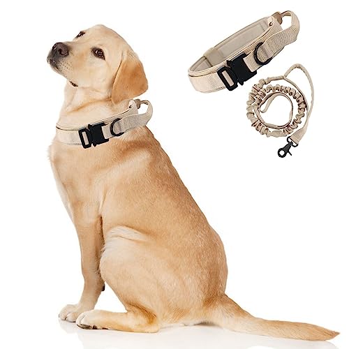 Taktisches Hundehalsband und Leine, verstellbares Halsband mit Griff für große und mittelgroße Hunde, Größe L, Khaki Taktisches Hundehalsband und Leine, verstellbares Halsband mit Griff für große und mittelgroße Hunde, Größe L, Khaki von Blue Dream Island