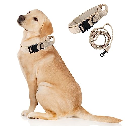 Taktisches Hundehalsband und Leine, verstellbares Halsband mit Griff für große und mittelgroße Hunde, Größe L, Khaki von Blue Dream Island