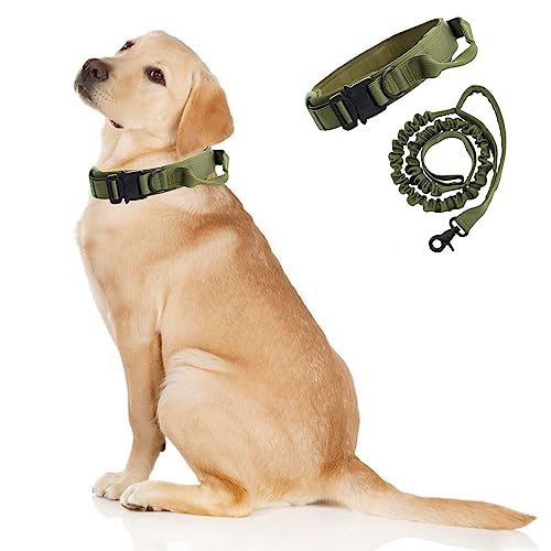 Taktisches Hundehalsband und Leine, verstellbares Halsband mit Griff für große und mittelgroße Hunde, Größe M, Militärgrün von Blue Dream Island
