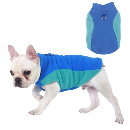 Warme Winterweste für kleine Hunde mit D-Ring, für kaltes Wetter, für Katzen und Hunde, Fleecepullover mit Farbblock, Schlafanzug für Katzen, Welpen, kleine, mittelgroße Hunde, Größe M, Blau Warme Winterweste für kleine Hunde mit D-Ring, für kaltes Wetter, für Katzen und Hunde, Fleecepullover mit Farbblock, Schlafanzug für Katzen, Welpen, kleine, mittelgroße Hunde, Größe M, Blau von Blue Dream Island