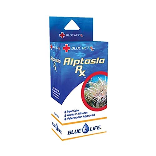BLUE LIFE USA Aiptasia RX Aiptasia Control 15 ml Flüssig Aquariumbehandlung, 0.5 ounces von BLUE LIFE