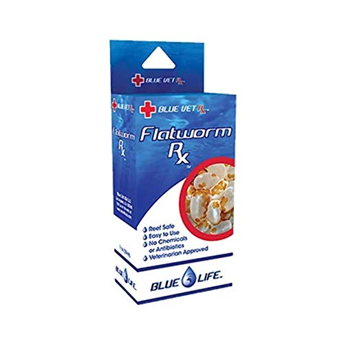 Blue Life USA Flatworm Rx (Neue Form) von BLUE LIFE