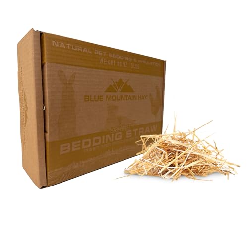 Blue Mountain Hay Weicher, frischer Strohhalm für Meerschweinchen, Chinchillas, Kaninchen, Hamster, Hühner, streunende und wilde Katzen, Hühnerställe und kleine Tierheime, saugfähig und warm von Blue Mountain Hay