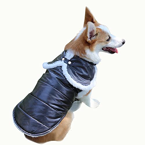 Mit Plüschkragen Hund Wintermantel wasserdicht Winddicht und kalt Haustier warmen Mantel Haustier Plüsch (M, Y2) von BlueSnow