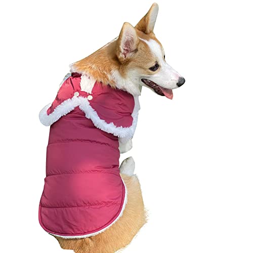 Mit Plüschkragen Hund Wintermantel wasserdicht Winddicht und kalt Haustier warmen Mantel Haustier Plüsch (XS, Y1) von BlueSnow