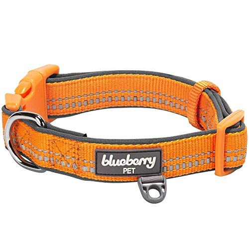 Blueberry Pet 1,5cm S 3M Reflektierendes Neopren-Gepolstertes Hundehalsband in Orange, Kleine Halsbänder für Hunde von Blueberry Pet