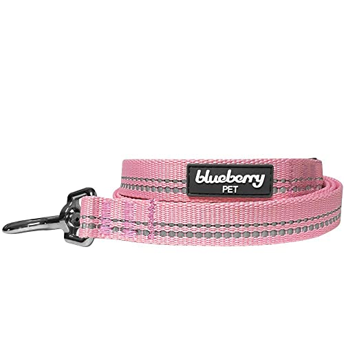 Blueberry Pet 2,5 cm by 120 cm Länge 3M Reflektierende Hundeleine in Pastellfarben Baby-Pink mit Neopren Gepolsterter Schlaufe, Passendes Halsband und Geschirr Separat Erhältlich von Blueberry Pet