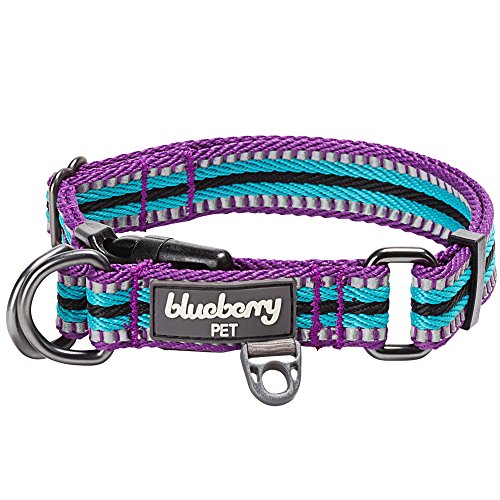 Blueberry Pet 2,5cm L 3M Reflektierendes Bunt Gestreiftes Violett und Himmelblaue Hundehalsband für Große Hunde von Blueberry Pet