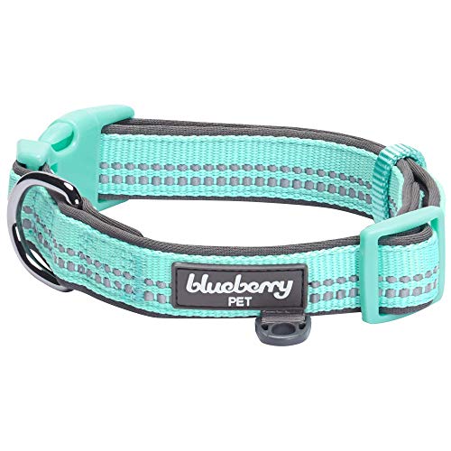 Blueberry Pet 2,5cm L 3M Reflektierendes Neopren-Gepolstertes Hundehalsband in Mint Blau, Groβe Halsbänder für Hunde von Blueberry Pet