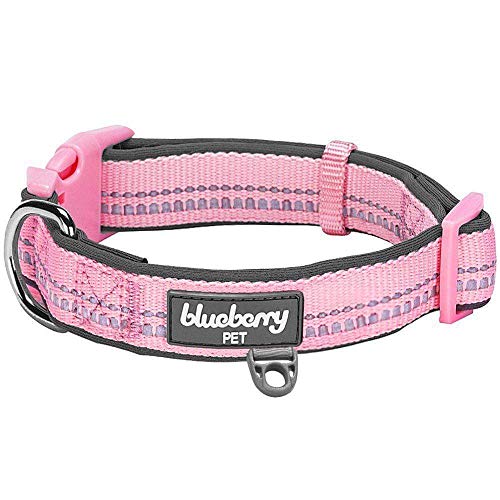 Blueberry Pet 2,5cm L 3M Reflektierendes Neopren-Gepolstertes Hundehalsband in Pastell-Babypink, Groβe Halsbänder für Hunde von Blueberry Pet