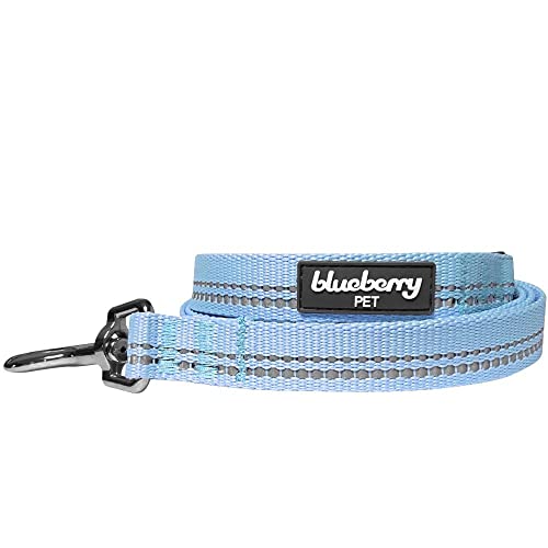 Blueberry Pet 2 cm by 150 cm Länge 3M Reflektierende Hundeleine in Pastellfarben Baby-Blau mit Neopren Gepolsterter Schlaufe, Passendes Halsband und Geschirr Separat Erhältlich von Blueberry Pet