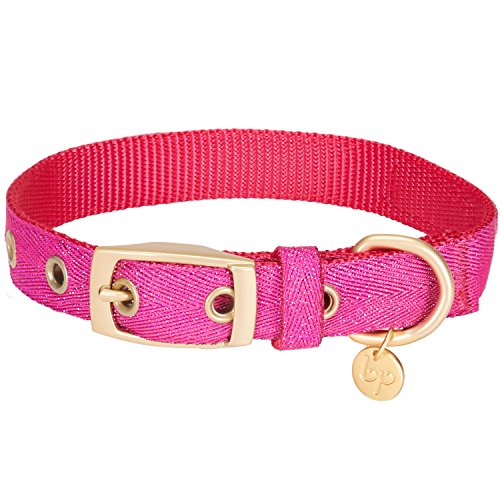 Blueberry Pet Das Begehrteste Designer Misch-Glanzfaden Hundehalsband in Leuchtend Pink mit Metallschnalle, S, Hals 23cm-32cm, Verstellbare Halsbänder für Hunde von Blueberry Pet