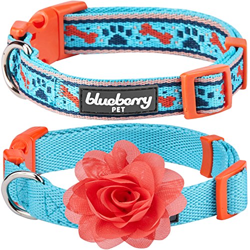 Blueberry Pet Doppelpack Mix & Match Perfekter Blauer Himmel Designer Hundehalsband mit Blumen-Deko, M, Hals 37cm-50cm von Blueberry Pet