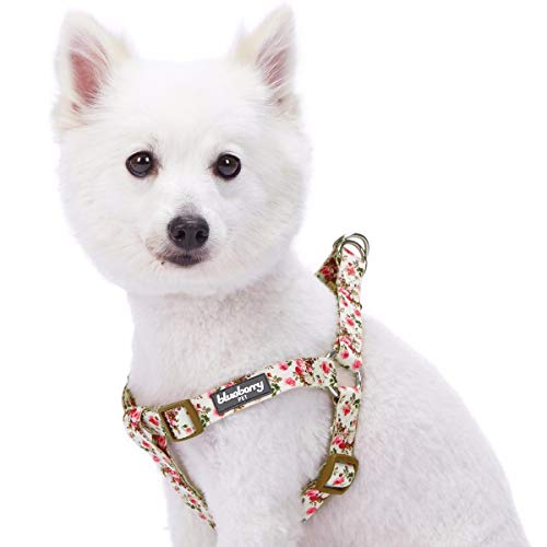 Blueberry Pet Hundegeschirr, blumig rosa und nautische Flaggen, verstellbar, passendes Halsband und Leine separat erhältlich von Blueberry Pet
