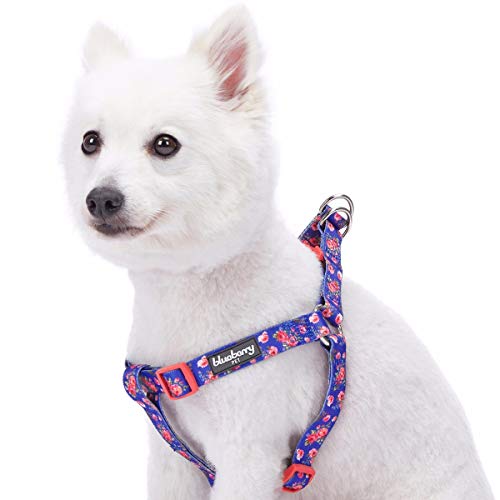 Blueberry Pet Hundegeschirr, blumig rosa und nautische Flaggen, verstellbar, passendes Halsband und Leine separat erhältlich von Blueberry Pet