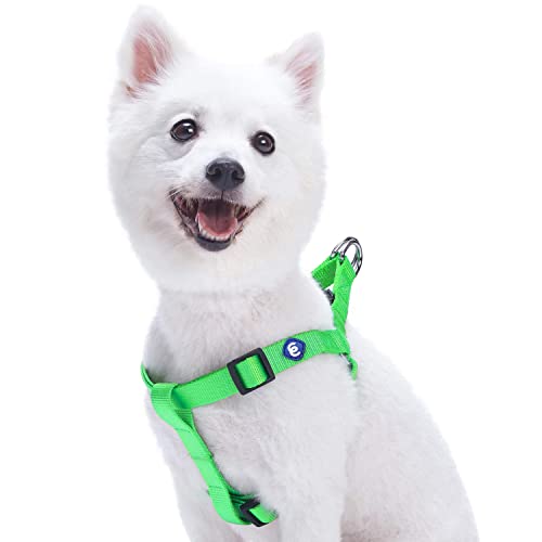 Blueberry Pet Hundegeschirr, klassisch, robust, verstellbar, Halsband und Leine separat erhältlich von Blueberry Pet