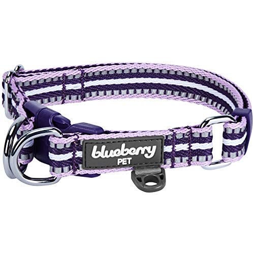 Blueberry Pet Hundehalsband in normaler oder Martingale-Ausführung, mehrfarbig gestreift, 3M-Reflexfäden von Blueberry Pet