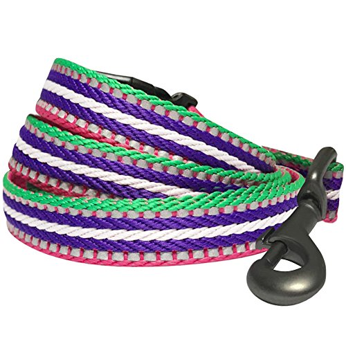 Blueberry Pet Leine mit Weich & Angenehmer Schlaufe, 150cm x 1,5cm 3M Reflektierende Bunt-Gestreifte Hundeleine in Pink, S Blueberry Pet Leine mit Weich & Angenehmer Schlaufe, 150cm x 1,5cm 3M Reflektierende Bunt-Gestreifte Hundeleine in Pink, S von Blueberry Pet