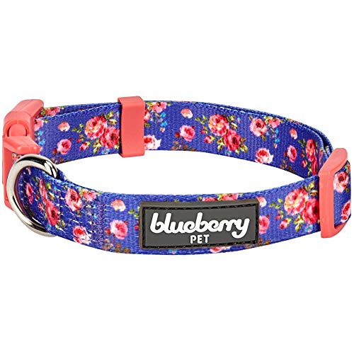 Blueberry Pet New Frühlingsduft Inspiriertes Rosenmuster Irisch-Blau Hundehalsband, S, Hals 30cm-40cm von Blueberry Pet
