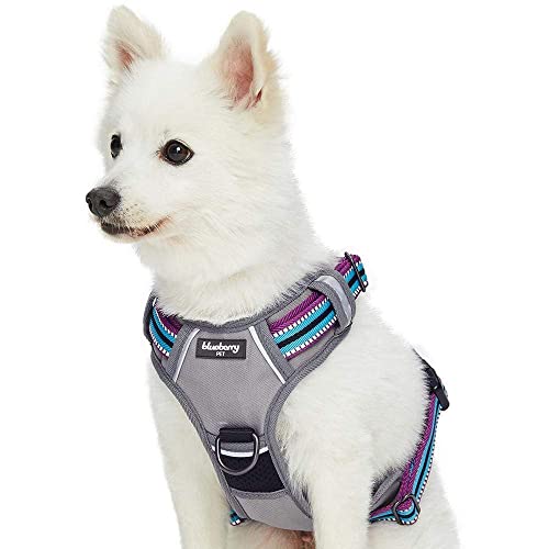 Blueberry Pet New Geschirre 3M Reflektierende Ultimative Sicherheit Zugentlastende Netz Gepolsterte Hundegeschirr Weste in Violett und Himmelblau, Passendes Halsband Separat Erhältlich Blueberry Pet New Geschirre 3M Reflektierende Ultimative Sicherheit Zugentlastende Netz Gepolsterte Hundegeschirr Weste in Violett und Himmelblau, Passendes Halsband Separat Erhältlich von Blueberry Pet