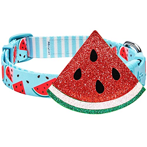 Blueberry Pet Sommerglanz Hundehalsband, Verstellbare Große Größe, Hals 45cm-66cm, Spritziges Obst Wassermelone Blau, Haustierhalsband mit Abnehmbarem Accessoire von Blueberry Pet