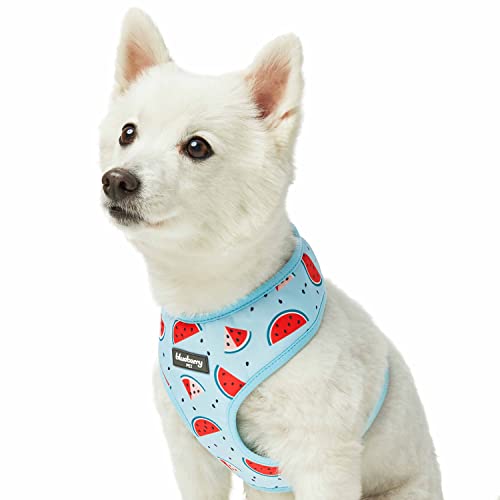 Blueberry Pet Summer Sparkle Dog Harness Vest, Adjustable Medium Size, Chest Girth 50cm-66cm, Blue, Zesty Fruit Watermelon Print Pet Harness von Blueberry Pet