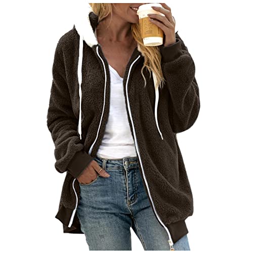 Bluelucon Sweatshirt Damen Winter Warm Hoodie Weich Mädchen Oversized Coat Plüschmantel Plüsch Oberbekleidung für Winter Kunstpelzjacke Wintermantel Jacke Hoodie Winterjack Fleecejacke von Bluelucon
