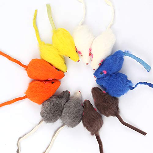 Bluelves Katzenspielzeug Maus, Spielzeugmäuse mit Glocke,12 Stück Maus Katzenminze, Spielzeug Katze Maus Toys, Fellmäuse klein plüschmaus, Interaktives Mouse Spielmaus für Katzen Bluelves Katzenspielzeug Maus, Spielzeugmäuse mit Glocke,12 Stück Maus Katzenminze, Spielzeug Katze Maus Toys, Fellmäuse klein plüschmaus, Interaktives Mouse Spielmaus für Katzen von Bluelves