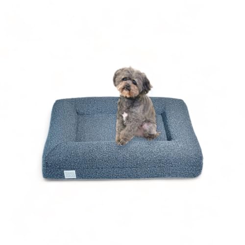 Bluewater Dog Boucle Orthopädisches Memory-Foam-Bett mit maschinenwaschbarem Boucle-Bezug und wasserdichter Auskleidung, Größe S, Ozeanblau von Bluewater Dog