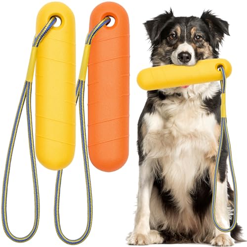 Blueweenly Schwimmendes Hundespielzeug, EVA-Schaum, Hundespielzeug, verschiedene Farben, für mittelgroße und große und kleine Hunde, 2 Stück von Blueweenly