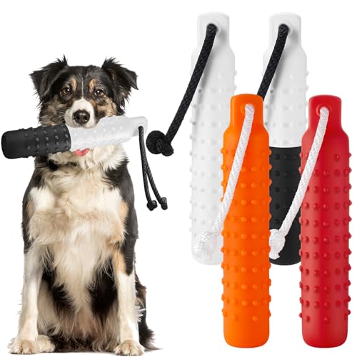 Blueweenly Schwimmhilfe für Hunde, 27,9 x 5,1 cm, leicht, zum Schwimmen auf dem Wasserpool, Apportieren für kleine, mittelgroße und große Hunde, 4 Stück (mehrfarbig) von Blueweenly