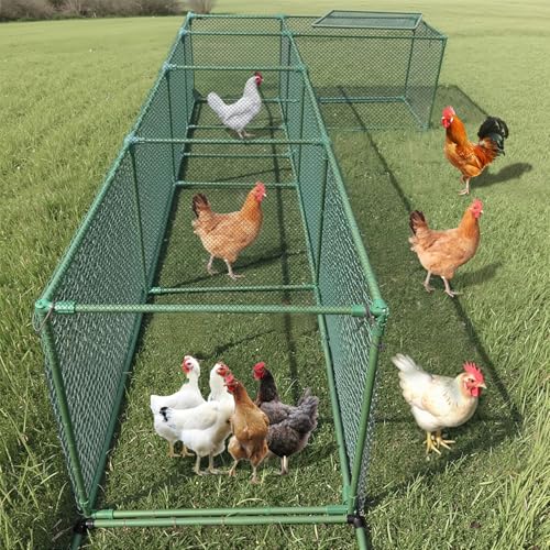 Blulu 1 Set Chicken Tunnel DIY Kit Hühnerauslauf für Außen Modulares Design Rostfrei Erweiterbar Schwere Würfel Runway für Hof mit Abdeckung Outdoor Blulu 1 Set Chicken Tunnel DIY Kit Hühnerauslauf für Außen Modulares Design Rostfrei Erweiterbar Schwere Würfel Runway für Hof mit Abdeckung Outdoor von Blulu
