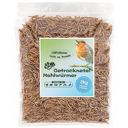 Blumixx Jan-Pet Premium Mehlwürmer getrocknet 2 kg (2 x 1 kg) Beutel wiederverschließbar, Vogelfutter Wildvögel Ganzjährig, Igelfutter, Eichhörnchen, Hamster, Fisch Futter von Blumixx