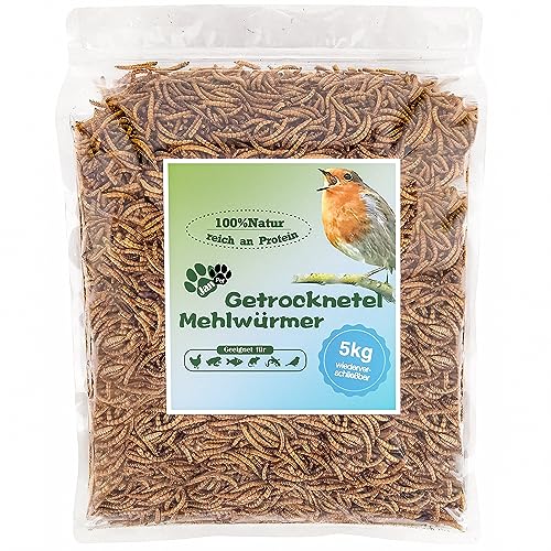 Blumixx Jan-Pet Premium Mehlwürmer getrocknet 5 kg, 5 Beutel x 1 kg wiederverschließbar, Vogelfutter Wildvogelfutter Ganzjahresfutter, Igelfutter, Eichhörnchen Futter, Fisch Futter, Wachtelfutter von Blumixx