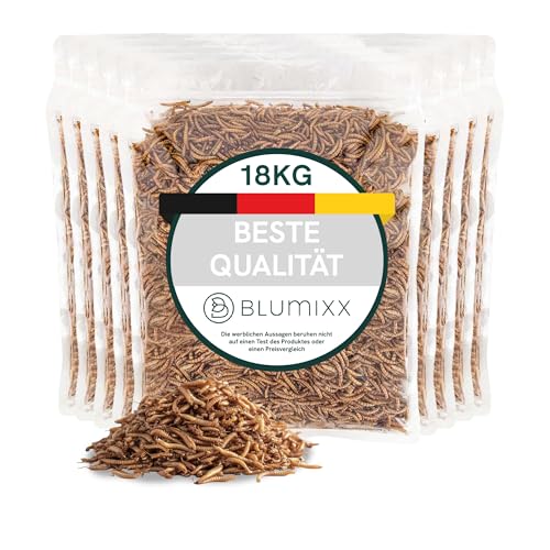 Mehlwürmer getrocknet für Reptilien 18kg - Premium-Qualität, Nahrhaftes Futter, Perfekt für eine Vielzahl von Amphibien, Schildkrötenfutter, Fischfutter Teich & Aquarium, wiederverschließbarer Beutel Mehlwürmer getrocknet für Reptilien 18kg - Premium-Qualität, Nahrhaftes Futter, Perfekt für eine Vielzahl von Amphibien, Schildkrötenfutter, Fischfutter Teich & Aquarium, wiederverschließbarer Beutel von Blumixx