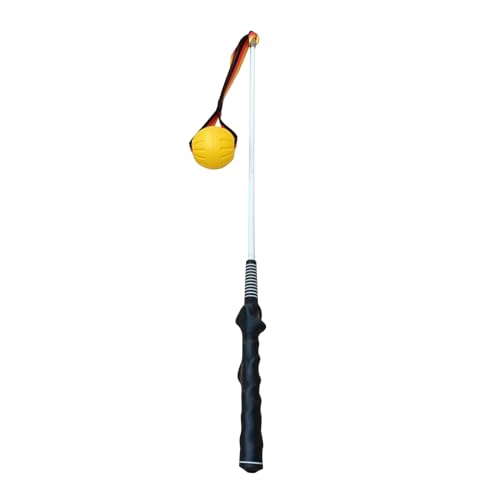 Bmdjdq Flirt Pole Interaktives Zerrspielzeug Haustier Training Stick Übungstraining Starker Griff 80x4x4cm für Haustiere Indoor Outdoor Rasen Hinterhof von Bmdjdq