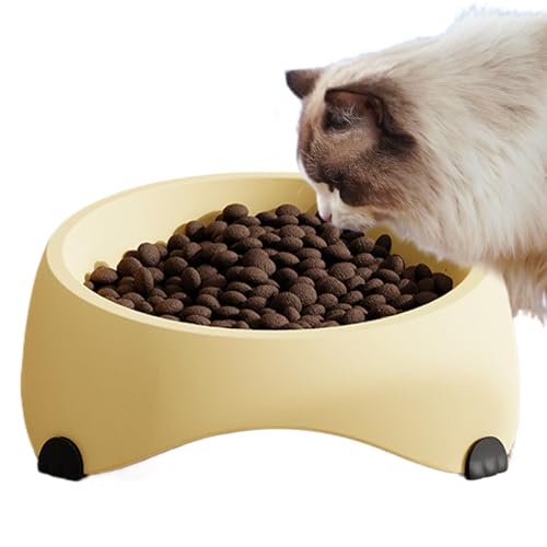 Futternapf für Katzen, Futternapf für Haustiere, 15 Grad geneigt, rutschfester Boden, 13,5 x 13,5 x 9 cm, 300 ml, für Kätzchen und kleine Hunde, drinnen oder draußen, Trockenfutter oder Wasser Futternapf für Katzen, Futternapf für Haustiere, 15 Grad geneigt, rutschfester Boden, 13,5 x 13,5 x 9 cm, 300 ml, für Kätzchen und kleine Hunde, drinnen oder draußen, Trockenfutter oder Wasser von Bmdjdq