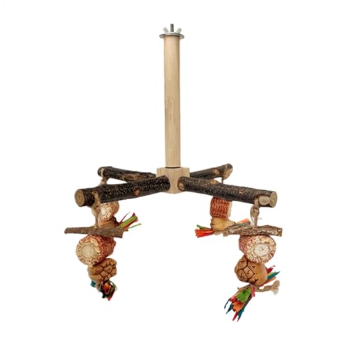 Rotierende Vogelsitzstangen Spielzeug Sittich Kletterstange für Käfig Schaukel Einfach zu bedienen Multifunktionale Verwendung 18 cm für Lovebirds Conures Rotierende Vogelsitzstangen Spielzeug Sittich Kletterstange für Käfig Schaukel Einfach zu bedienen Multifunktionale Verwendung 18 cm für Lovebirds Conures von Bmdjdq