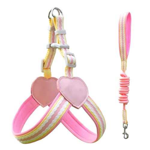 BnMvF Verstellbares Hundegeschirr und Leine Set - Reflektierende Weste für kleine/mittlere Hunde, weiche Nylon Mesh Free Comfort Vest, 4 Farben (Rosa/Blau/Grün/Gelb) (Rosa,eine) von BnMvF