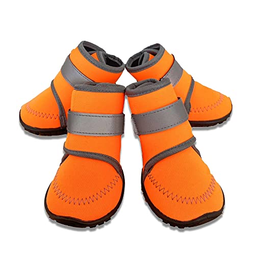 BnbnPup Hundeschuhe Pfotenschutz Schuhe Für Hunde Hundepfoten Schutz Schneeschuhe Mit Anti-Rutsch Sohle Reflektierendem Riemen Für Kleine Hunde, Große Hunde-2XL von BnbnPup