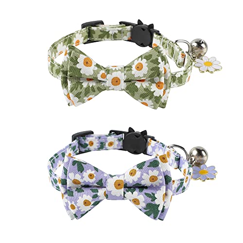 Bnibol Katzenhalsbänder mit abnehmbarer doppellagiger Fliege und Glocke, für Jungen und Mädchen, geeignet für Festivals und den täglichen Gebrauch, Gänseblümchen, 2 Stück von Bnibol