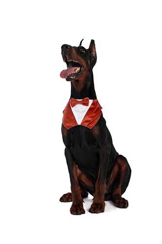 Smokinghalsband für Hunde, für Hochzeit, Verlobung und Geburtstag, Halloween, formelles Smoking-Bandana-Kostüm mit brauner Fliege und verstellbarer Schnalle, geeignet für kleine Hunde. Smokinghalsband für Hunde, für Hochzeit, Verlobung und Geburtstag, Halloween, formelles Smoking-Bandana-Kostüm mit brauner Fliege und verstellbarer Schnalle, geeignet für kleine Hunde. von Bnibol