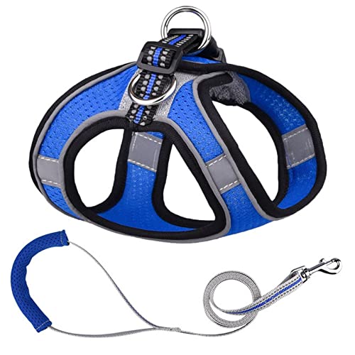 Sicherheitswesten Reflektierende Hundegeschirr Leine Set Nylon Haustier Katze Harness Hundeleine Verstellbare Haustiergurtweste for Welpen Medium Hund Haustierbedarf Reflektierende Westen (Color : Bl von BoNene