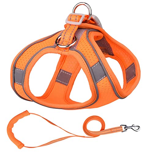 Sicherheitswesten Reflektierende Hundegeschirr Leine Set Nylon Haustier Katze Harness Hundeleine Verstellbare Haustiergurtweste for Welpen Medium Hund Haustierbedarf Reflektierende Westen (Color : Or von BoNene