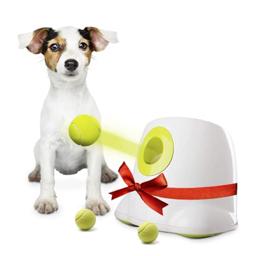 BOT Automatischer Ballwerfer für Hunde, inkl. 3Stk Hundebälle. Ballwurfmaschine Hunde für kleine Hunderassen. Interaktives Hundespielzeug für zu Hause und draußen (Ifetch Mini 5cm) von BoT by BlueRoad