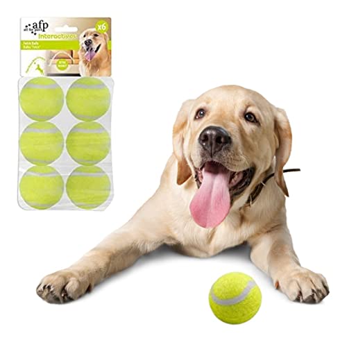 BoT 6X Tennisbälle für große Hunde, Hundespielzeug geeignet für die automatische Ballwurfmaschine für Hunde Ifetch, extra Starke widerstandsfähige Hundebälle (Maxi Tennisbälle 6 x 6,4 cm) von BoT by BlueRoad