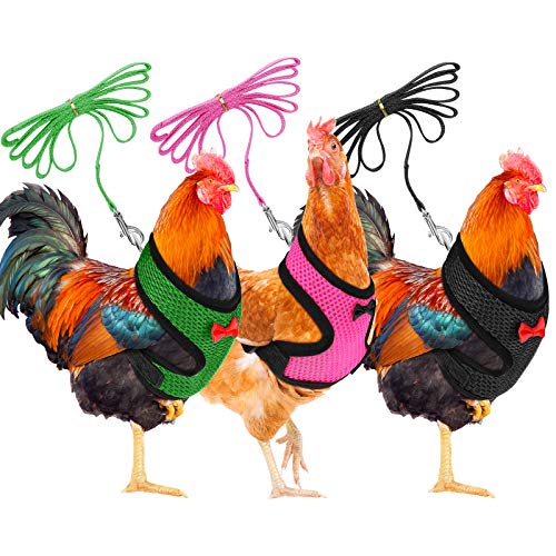 3-teiliges Hühnergeschirr, atmungsaktiv, Weste mit passendem Gürtel, bequemes Huhn-Trainingsgeschirr für Huhn, Ente oder Gans (schwarz, pink, grün, S) von Boao