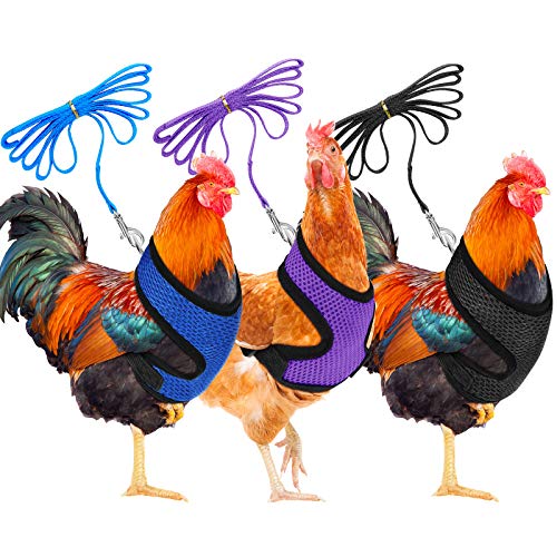 3-teiliges verstellbares Hühner-Geschirr mit Leine und passendem Gürtel, bequeme Henne Haustier Weste atmungsaktiv Huhn Training Geschirr für Huhn, Ente oder Gans Walking (blau, schwarz, lila) von Boao
