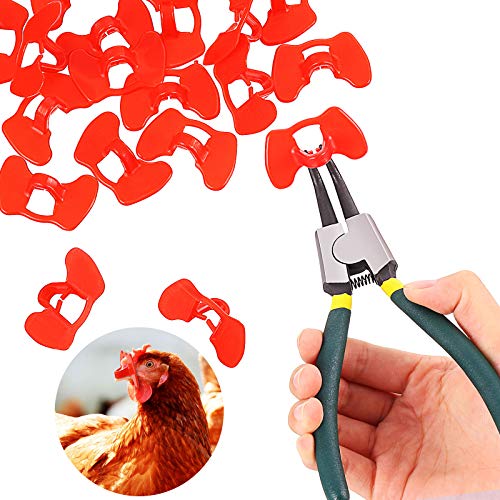 Boao 61 Stück Pinless Peepers für Huhn Peepers Fasan Geflügel Blinders Brillen Anti Picking Brillen Werkzeug für Haustier Mitte Boao 61 Stück Pinless Peepers für Huhn Peepers Fasan Geflügel Blinders Brillen Anti Picking Brillen Werkzeug für Haustier Mitte von Boao