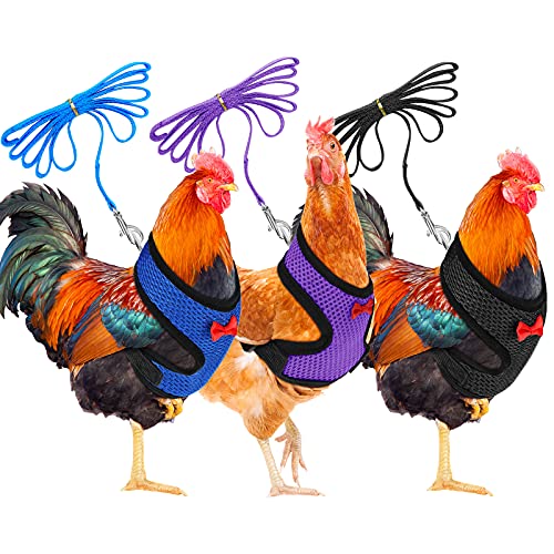 Boao Verstellbares Oster-Hühner-Geschirr und Leine für Henne und Hahn, bequeme Henne-Weste mit passendem Gürtel, atmungsaktives Trainingsgeschirr für Huhn, Entengans, Haustier (Blau, Schwarz, Lila, M) Boao Verstellbares Oster-Hühner-Geschirr und Leine für Henne und Hahn, bequeme Henne-Weste mit passendem Gürtel, atmungsaktives Trainingsgeschirr für Huhn, Entengans, Haustier (Blau, Schwarz, Lila, M) von Boao